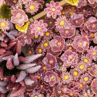 Keramische Blumenvitrine für internationale Messen