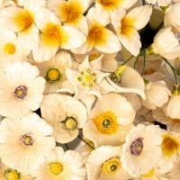 Hochwertige Keramikblumen für den Großhandel