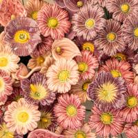 Handgefertigte Keramikblumen auf dem ungarischen Großhandelsmarkt